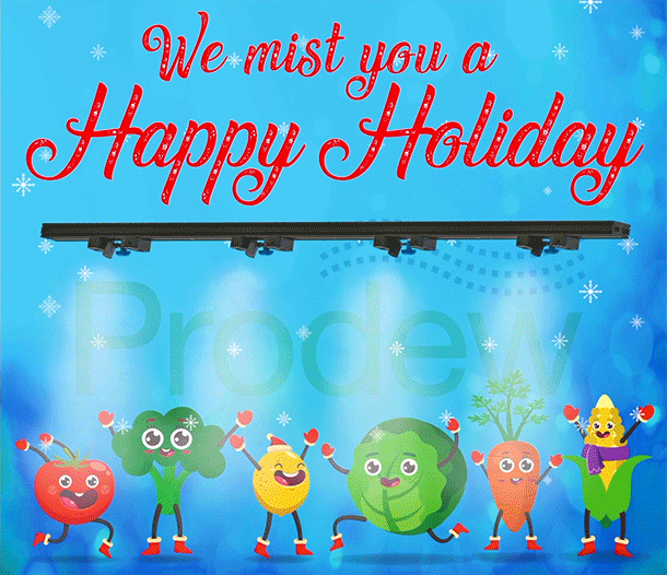 Prodew wishes you a fantastic holiday season!
